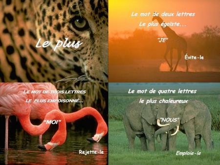 NO COMMENT