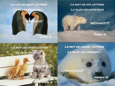 NO COMMENT