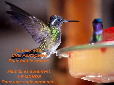 LA VALEUR  D'UNE  PERSONNE